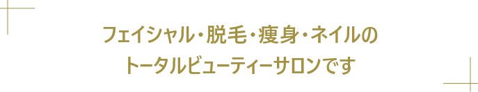 フェイシャル・脱毛・痩身・ネイルのトータルビューティーサロンです